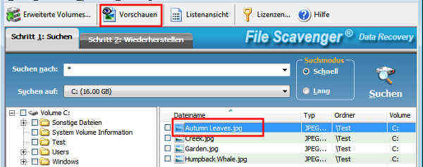 Auswahl einer Bilddatei und Klick auf Vorschau