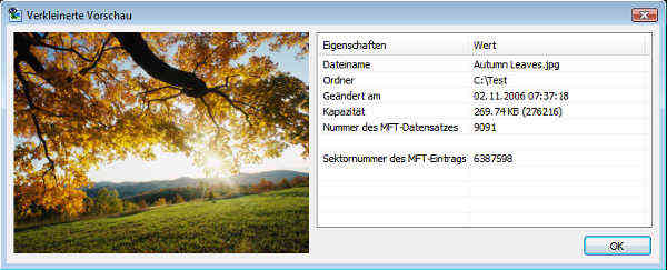 Wiederherstellbare Bilddatei im Vorschaumodus